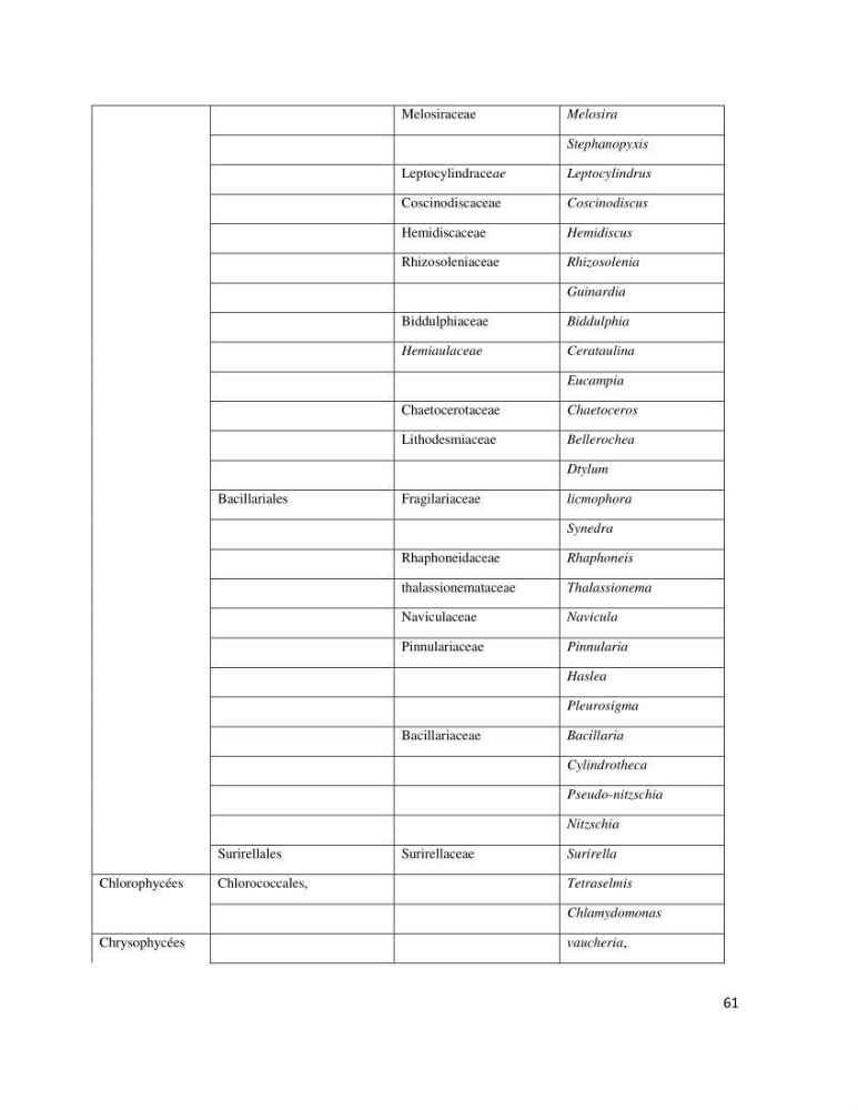 Dynamique et diversité du phytoplancton de la côte Algérienne: