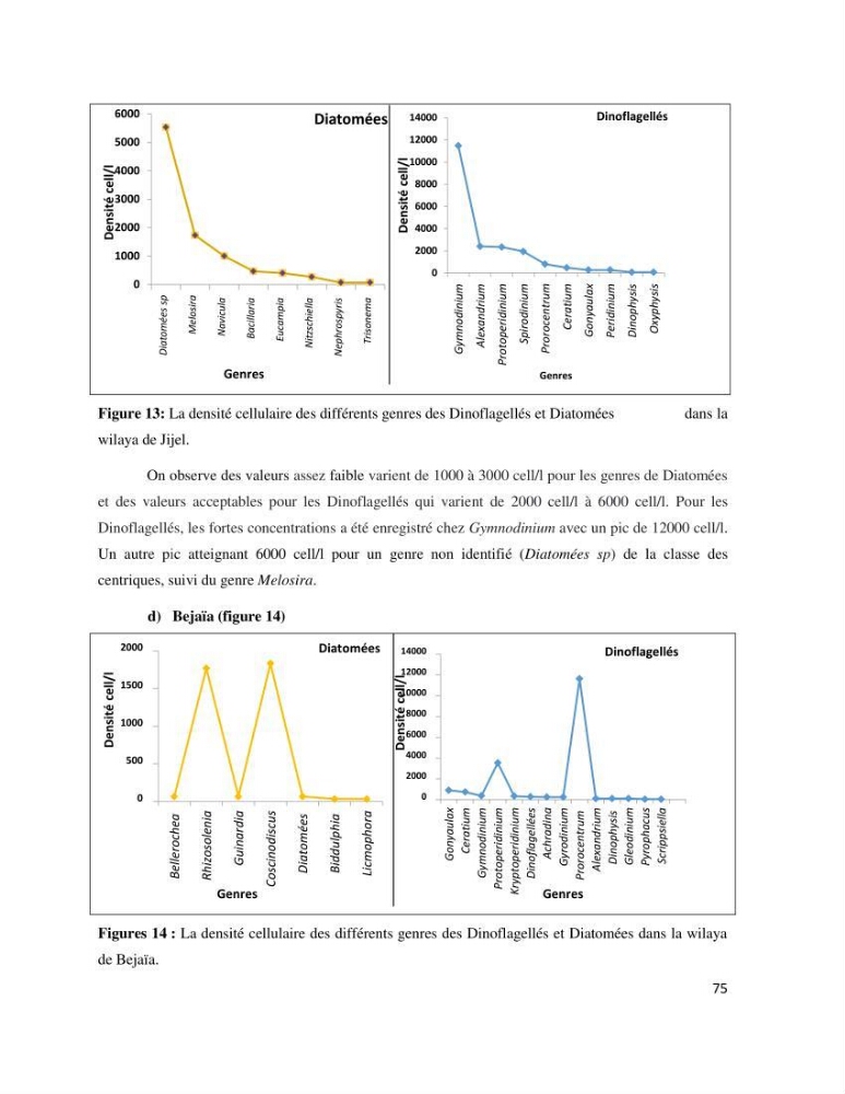Dynamique et diversité du phytoplancton de la côte Algérienne: