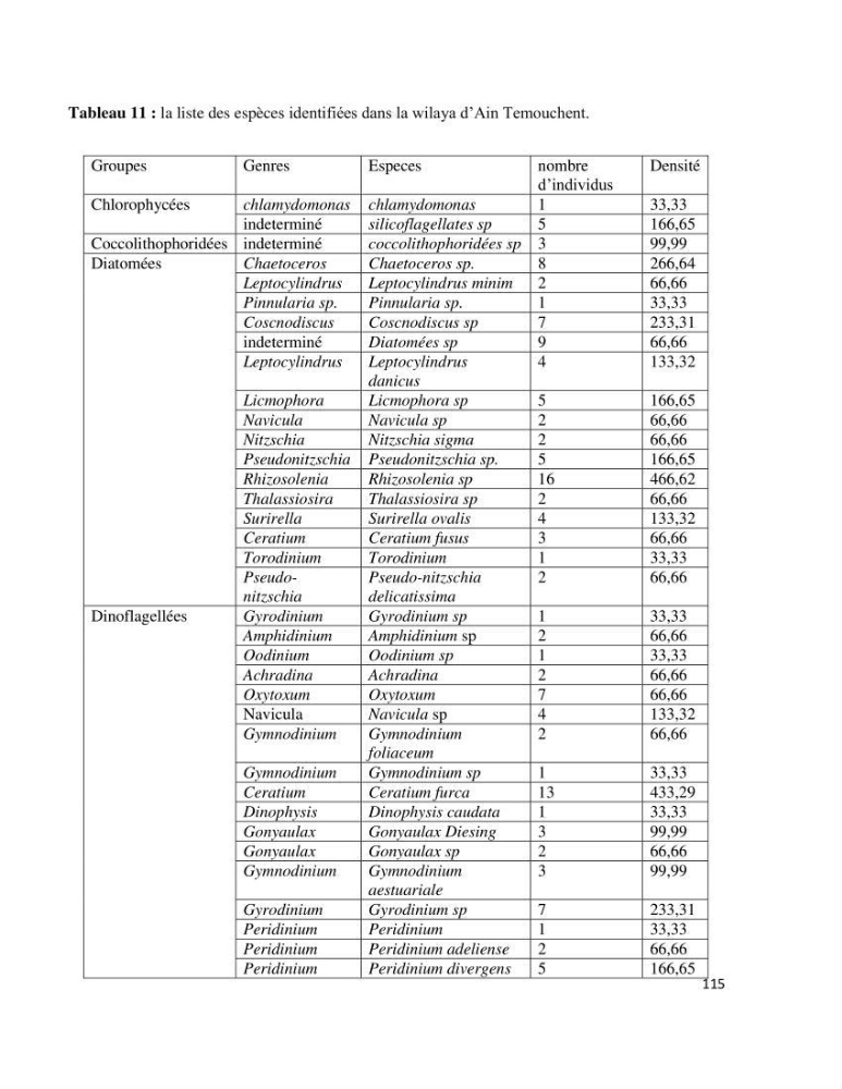 Dynamique et diversité du phytoplancton de la côte Algérienne: