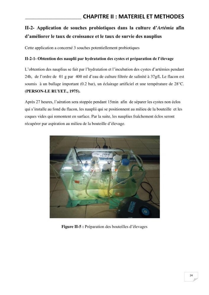 Application de bactéries à fort potentiel probiotique dans un élevage d’Artémia. sp: