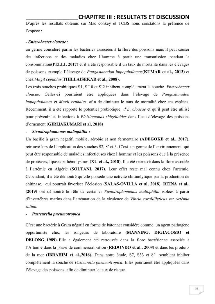 Application de bactéries à fort potentiel probiotique dans un élevage d’Artémia. sp: