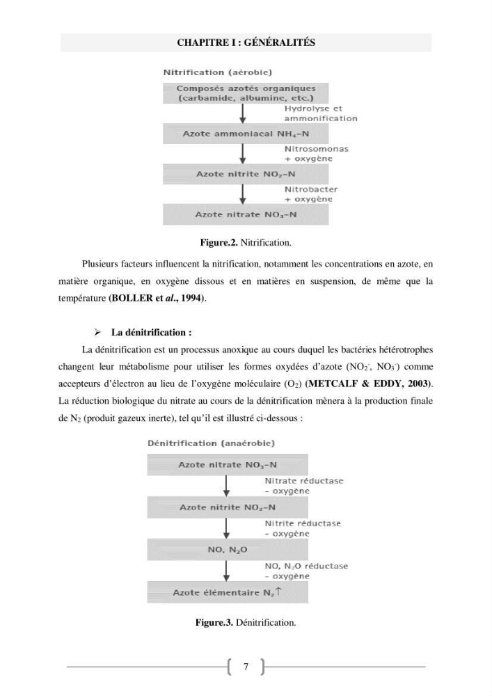 Etude de traitement des eaux usées et Valorisation des boues par Compostage: cas step Hadjout