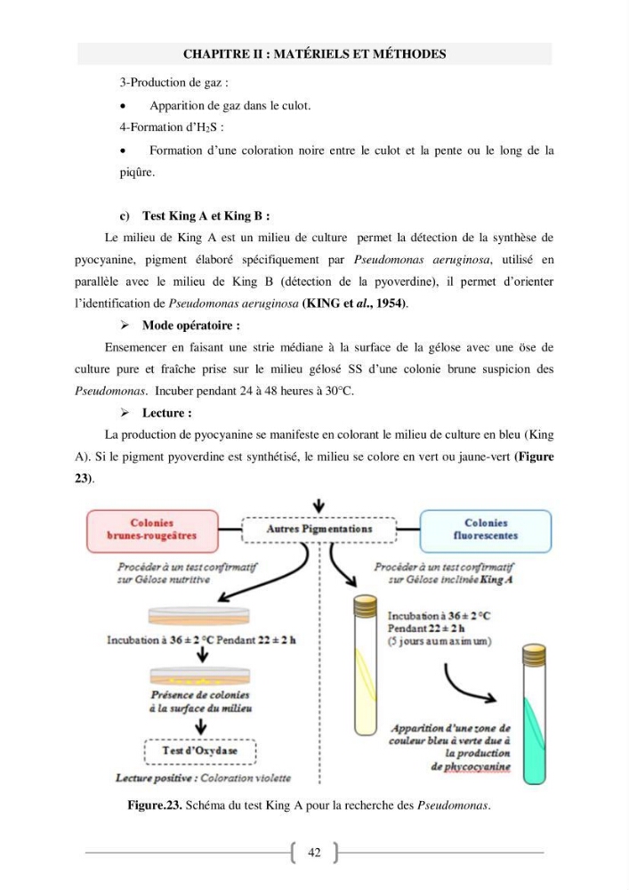Etude de traitement des eaux usées et Valorisation des boues par Compostage: cas step Hadjout