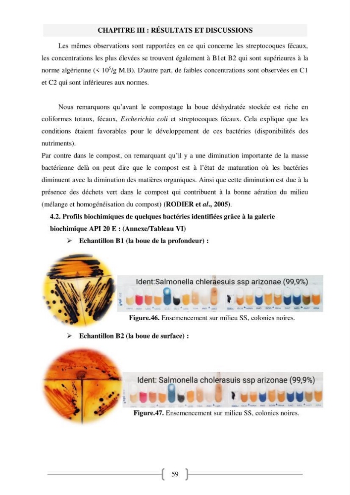 Etude de traitement des eaux usées et Valorisation des boues par Compostage: cas step Hadjout
