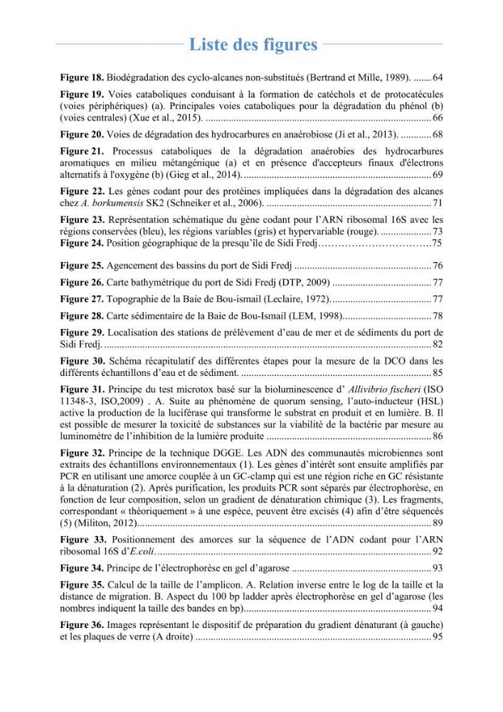 Isolement et caractérisation des bactéries marines dégradant les différentes fractions du pétrole : cas d’étude : port de Sidi Fredj