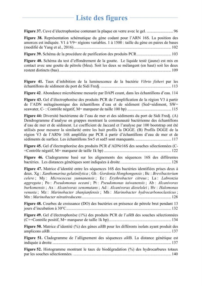 Isolement et caractérisation des bactéries marines dégradant les différentes fractions du pétrole : cas d’étude : port de Sidi Fredj