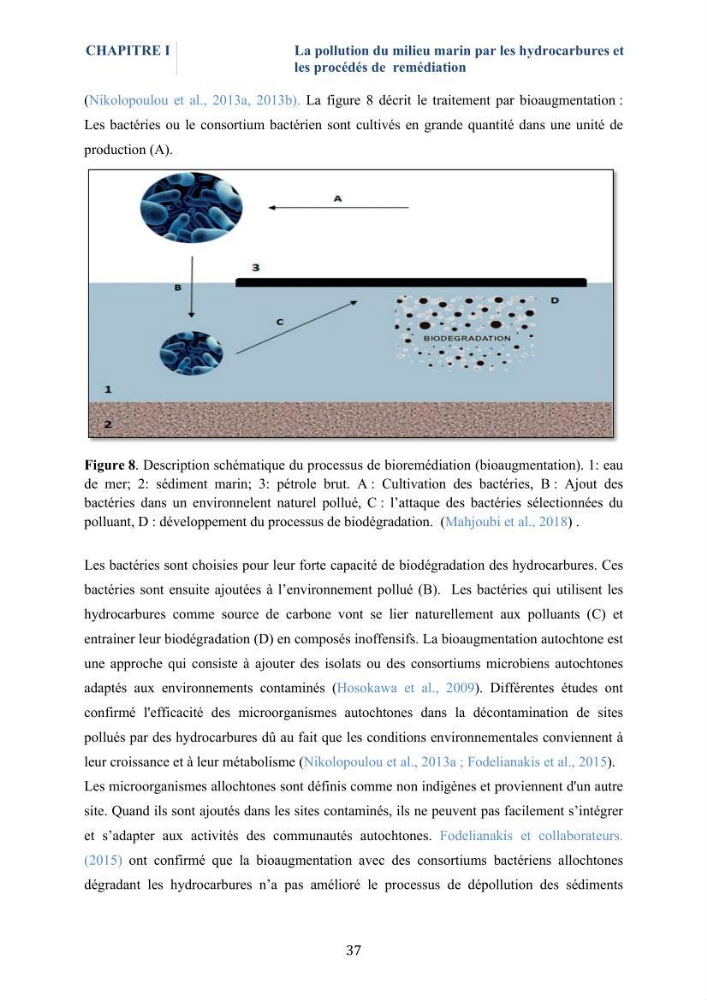 Isolement et caractérisation des bactéries marines dégradant les différentes fractions du pétrole : cas d’étude : port de Sidi Fredj