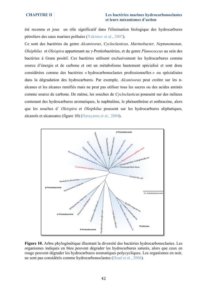 Isolement et caractérisation des bactéries marines dégradant les différentes fractions du pétrole : cas d’étude : port de Sidi Fredj