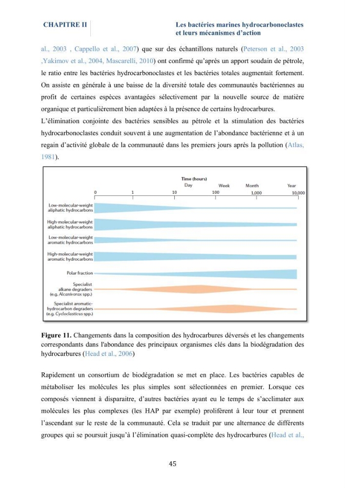 Isolement et caractérisation des bactéries marines dégradant les différentes fractions du pétrole : cas d’étude : port de Sidi Fredj