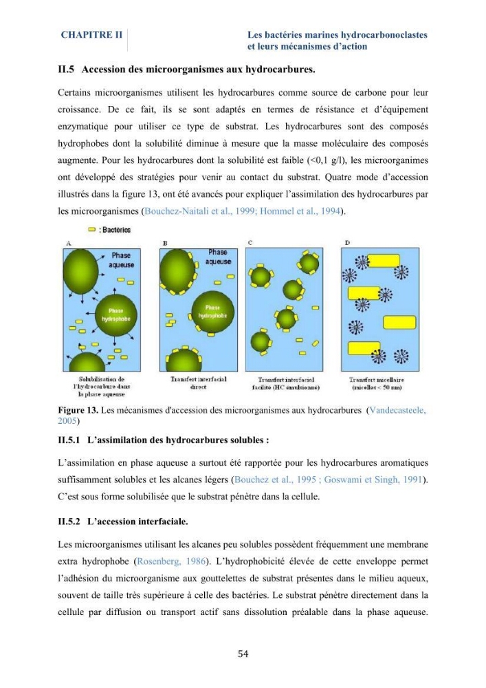 Isolement et caractérisation des bactéries marines dégradant les différentes fractions du pétrole : cas d’étude : port de Sidi Fredj