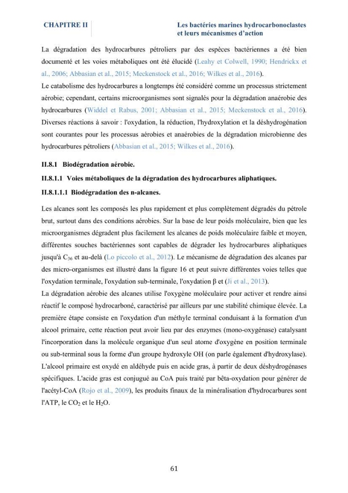Isolement et caractérisation des bactéries marines dégradant les différentes fractions du pétrole : cas d’étude : port de Sidi Fredj