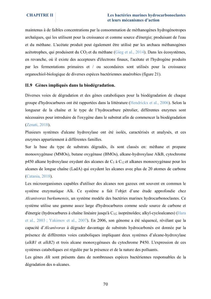 Isolement et caractérisation des bactéries marines dégradant les différentes fractions du pétrole : cas d’étude : port de Sidi Fredj