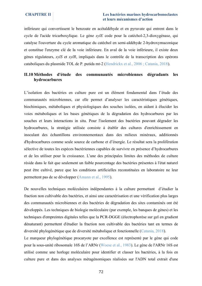 Isolement et caractérisation des bactéries marines dégradant les différentes fractions du pétrole : cas d’étude : port de Sidi Fredj