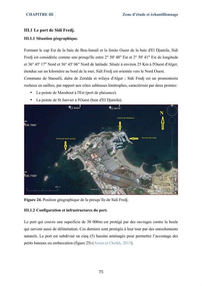 Isolement et caractérisation des bactéries marines dégradant les différentes fractions du pétrole : cas d’étude : port de Sidi Fredj