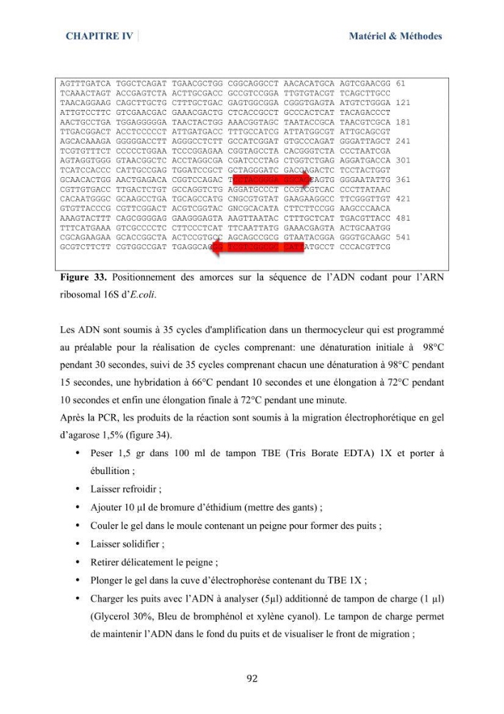 Isolement et caractérisation des bactéries marines dégradant les différentes fractions du pétrole : cas d’étude : port de Sidi Fredj