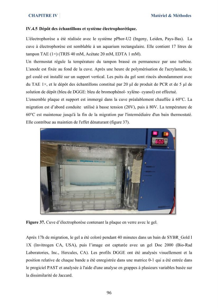 Isolement et caractérisation des bactéries marines dégradant les différentes fractions du pétrole : cas d’étude : port de Sidi Fredj
