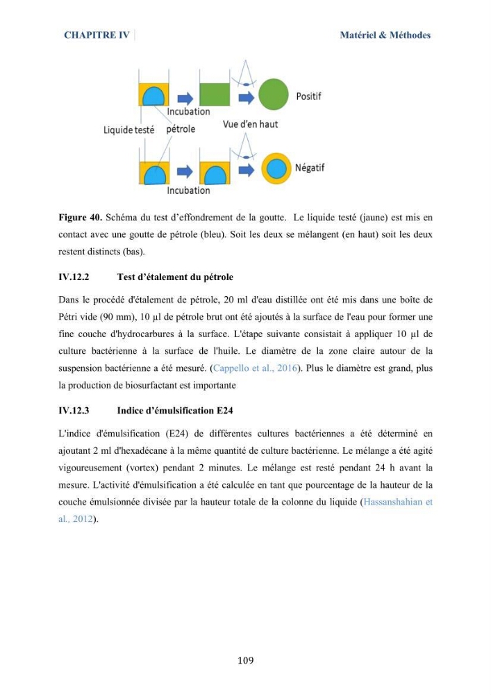 Isolement et caractérisation des bactéries marines dégradant les différentes fractions du pétrole : cas d’étude : port de Sidi Fredj