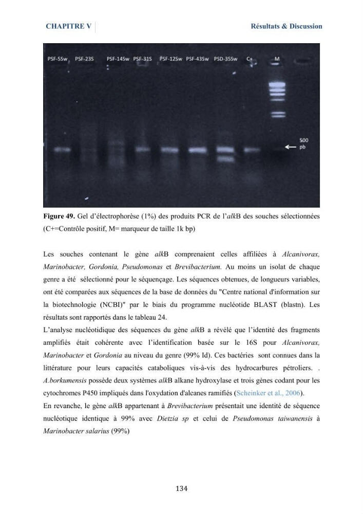 Isolement et caractérisation des bactéries marines dégradant les différentes fractions du pétrole : cas d’étude : port de Sidi Fredj