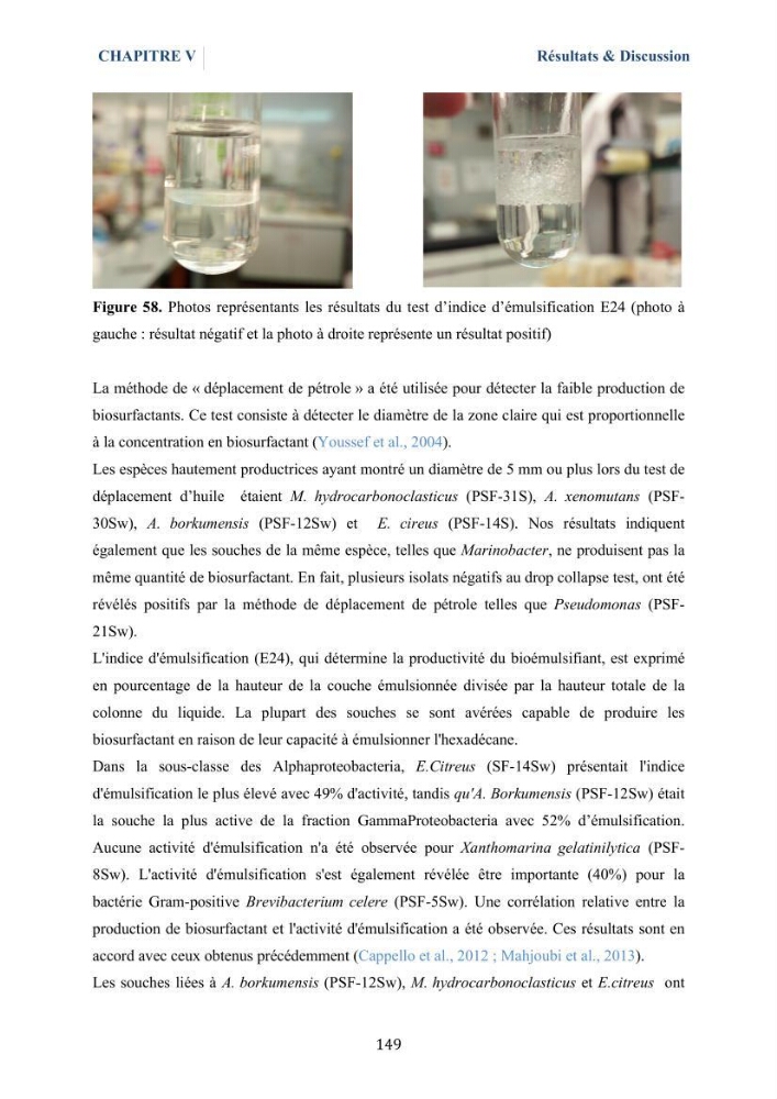 Isolement et caractérisation des bactéries marines dégradant les différentes fractions du pétrole : cas d’étude : port de Sidi Fredj