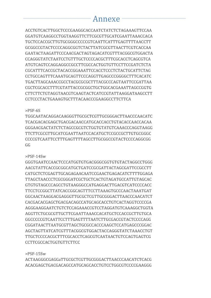 Isolement et caractérisation des bactéries marines dégradant les différentes fractions du pétrole : cas d’étude : port de Sidi Fredj