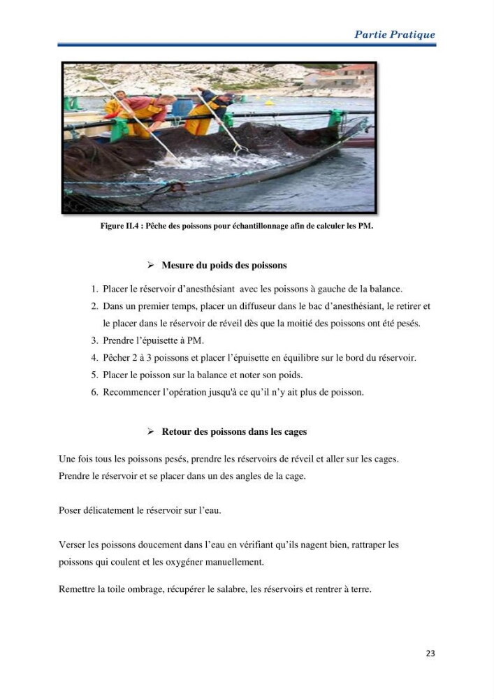 Contribution au rationnement alimentaire du loup de mer Dicentrachus labrax (Linnaeus, 1758) Cas de l’élevage biologique de la station Provence Aquaculture (Marseille _ France)