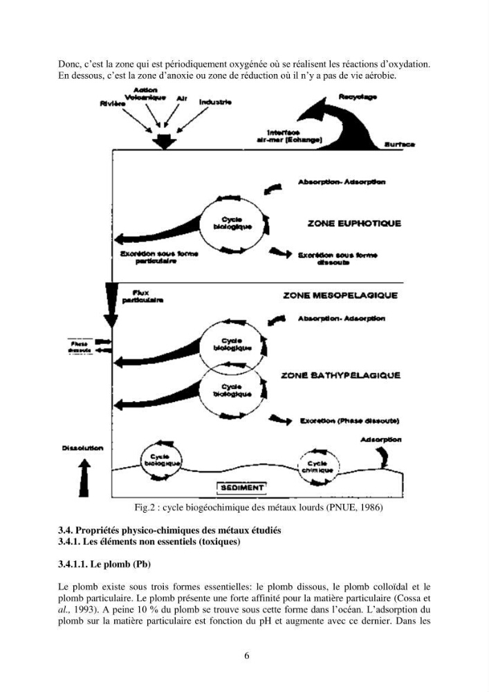 Etude de la pollution et de la géochimie par les métaux traces et les radioéléments dans les sédiments de la baie d\'Alger