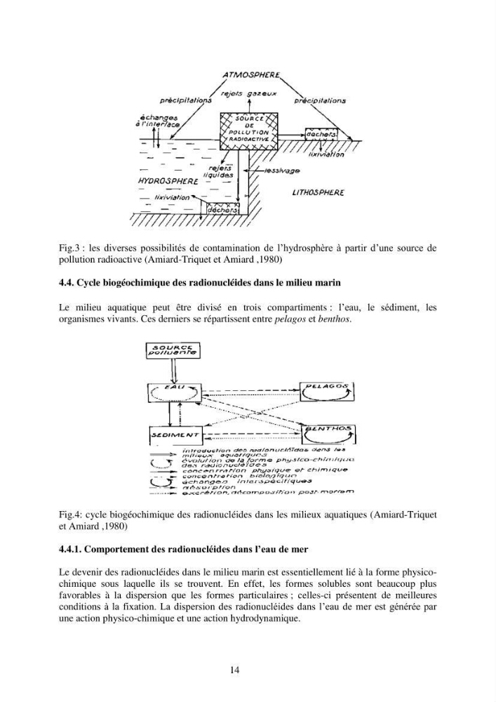 Etude de la pollution et de la géochimie par les métaux traces et les radioéléments dans les sédiments de la baie d\'Alger