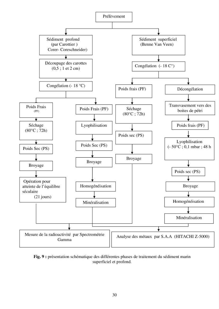 Etude de la pollution et de la géochimie par les métaux traces et les radioéléments dans les sédiments de la baie d\'Alger