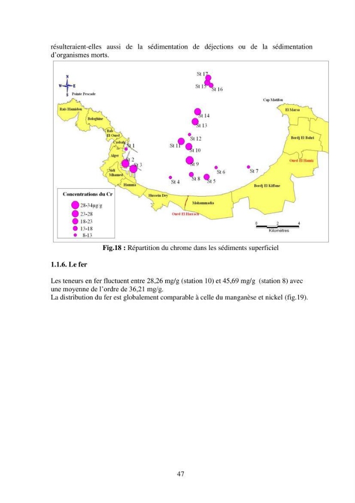 Etude de la pollution et de la géochimie par les métaux traces et les radioéléments dans les sédiments de la baie d\'Alger