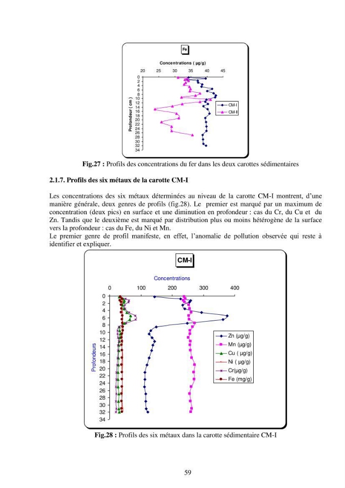 Etude de la pollution et de la géochimie par les métaux traces et les radioéléments dans les sédiments de la baie d\'Alger