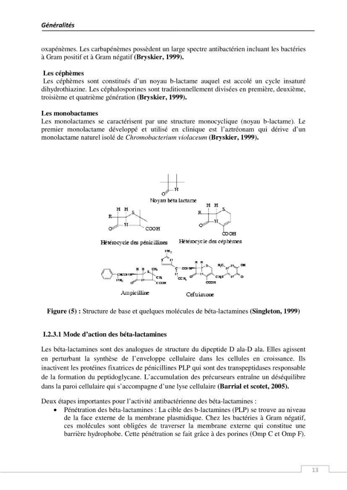 L\'évaluation de la résistance aux antibiotiques chez les bactéries à Gram négatif isolées au niveau de la ferme piscicole marine ONDPA Cap Djinet wilaya de Boumerdes