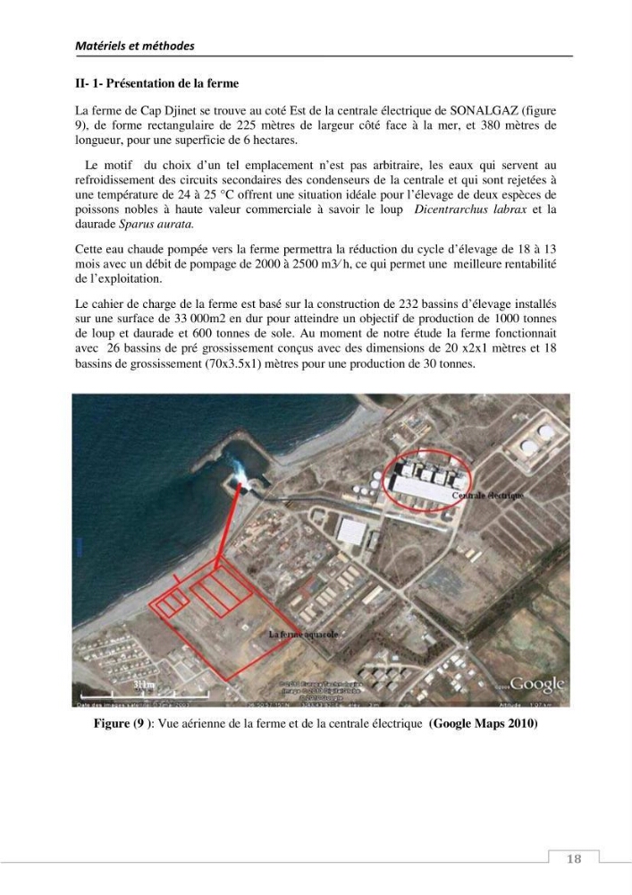 L\'évaluation de la résistance aux antibiotiques chez les bactéries à Gram négatif isolées au niveau de la ferme piscicole marine ONDPA Cap Djinet wilaya de Boumerdes