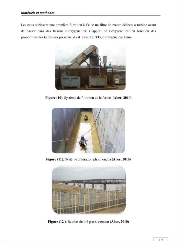 L\'évaluation de la résistance aux antibiotiques chez les bactéries à Gram négatif isolées au niveau de la ferme piscicole marine ONDPA Cap Djinet wilaya de Boumerdes