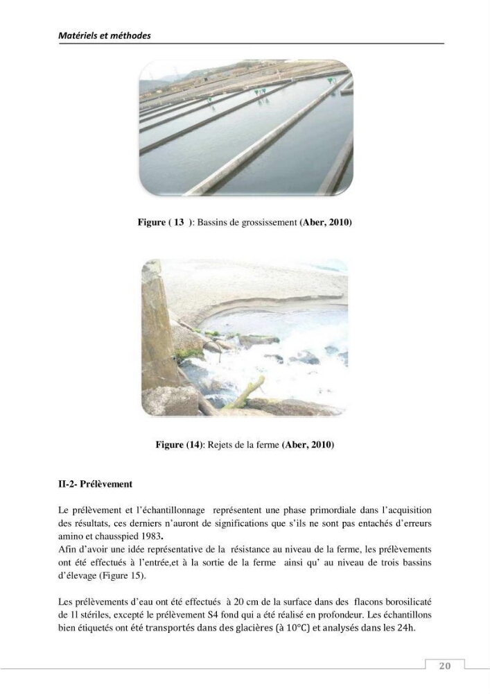L\'évaluation de la résistance aux antibiotiques chez les bactéries à Gram négatif isolées au niveau de la ferme piscicole marine ONDPA Cap Djinet wilaya de Boumerdes