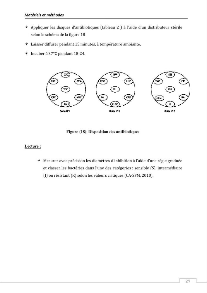 L\'évaluation de la résistance aux antibiotiques chez les bactéries à Gram négatif isolées au niveau de la ferme piscicole marine ONDPA Cap Djinet wilaya de Boumerdes