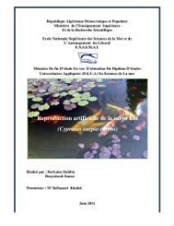 Reproduction artificielle de la carpe koi ( Cyprinus carpio carpio ):