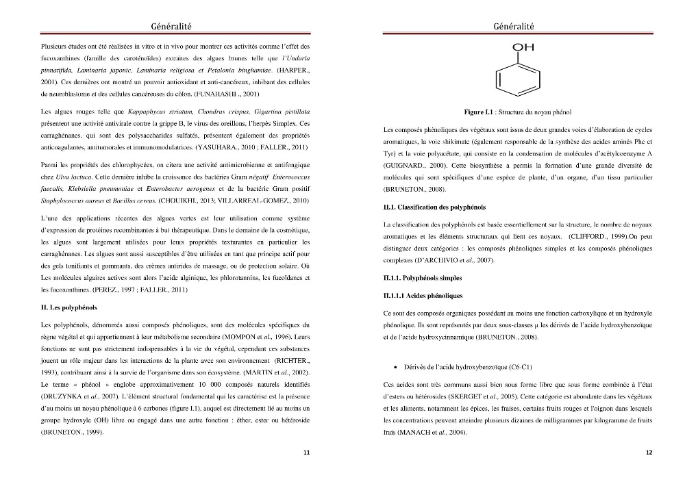 Caractérisation d\'algues marines pour une utilsation en biotechnologie