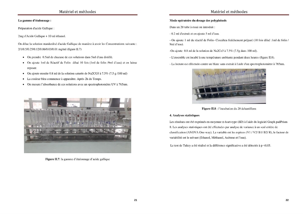 Caractérisation d\'algues marines pour une utilsation en biotechnologie