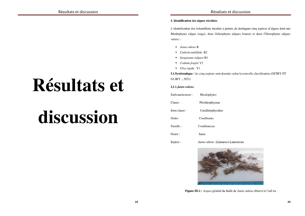 Caractérisation d\'algues marines pour une utilsation en biotechnologie