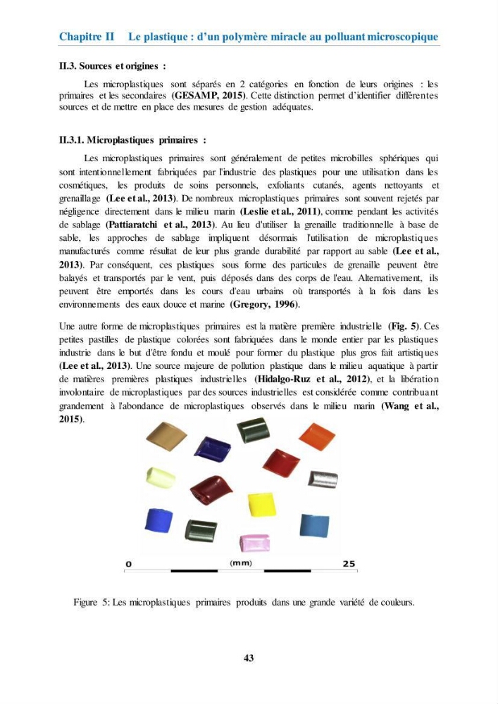 Etude de l\'évaluation quantitative et qualitative des microplastiques sur les côtes algériennes