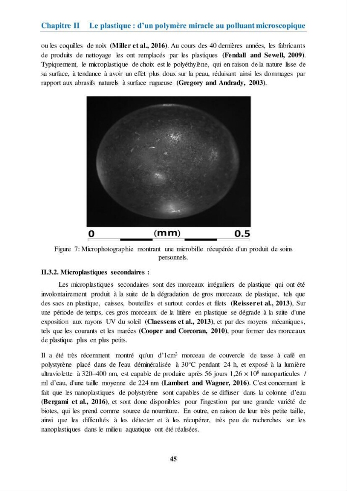 Etude de l\'évaluation quantitative et qualitative des microplastiques sur les côtes algériennes