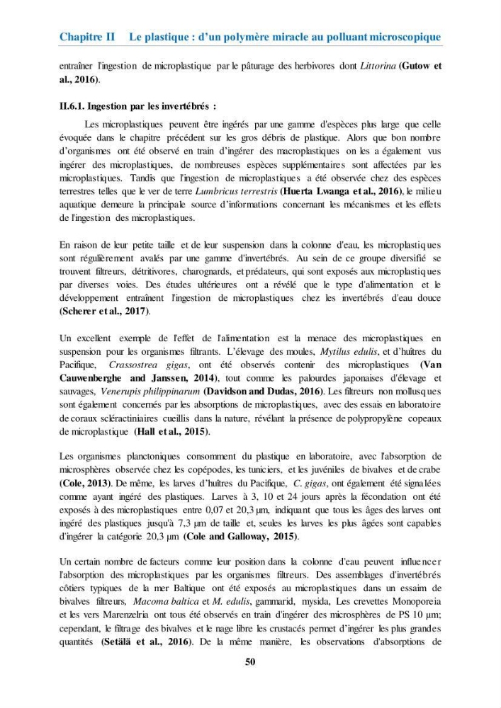 Etude de l\'évaluation quantitative et qualitative des microplastiques sur les côtes algériennes