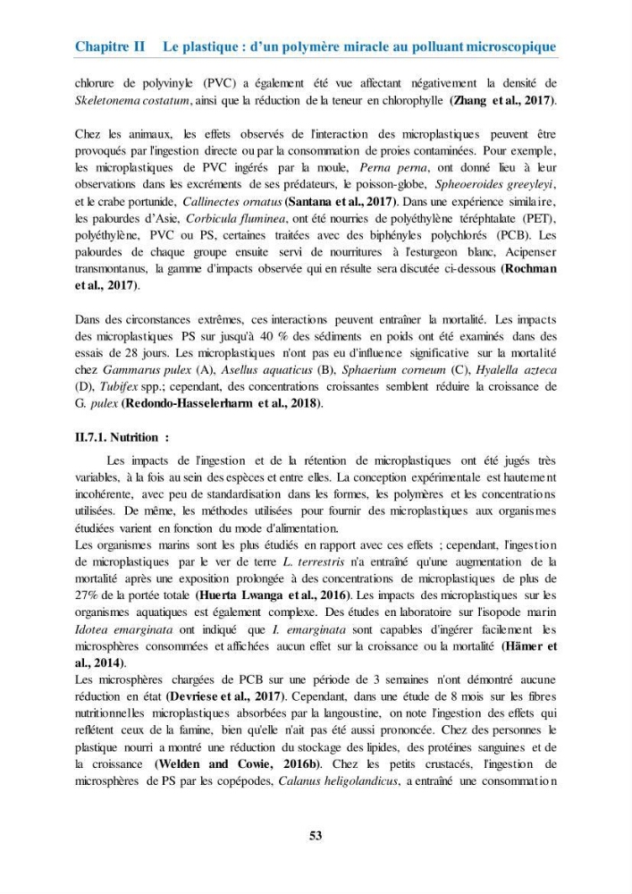 Etude de l\'évaluation quantitative et qualitative des microplastiques sur les côtes algériennes