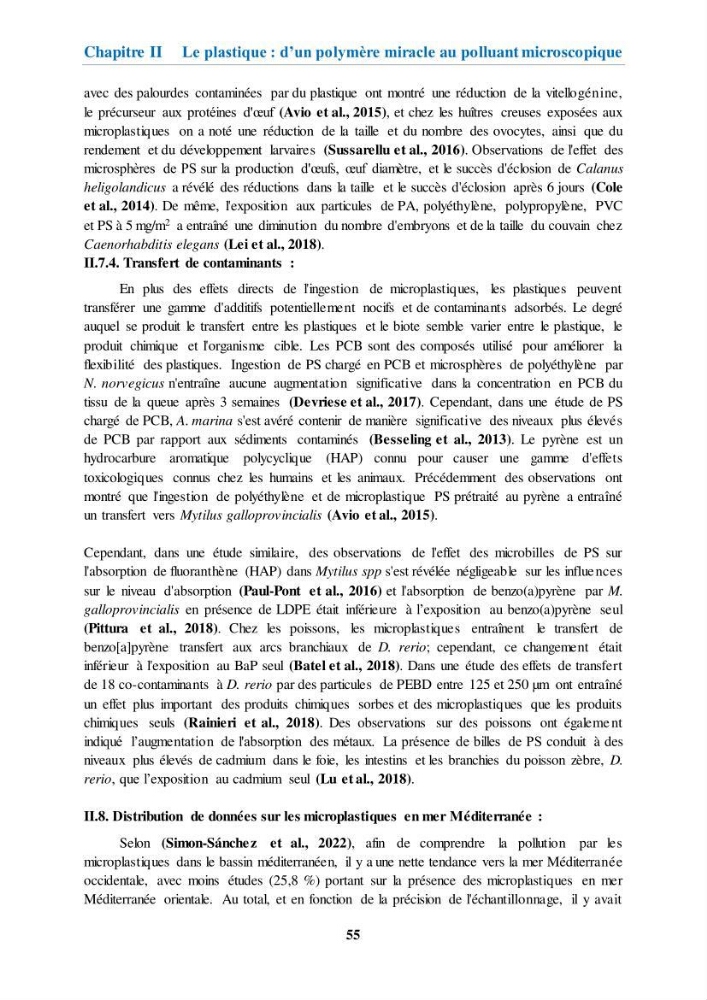 Etude de l\'évaluation quantitative et qualitative des microplastiques sur les côtes algériennes