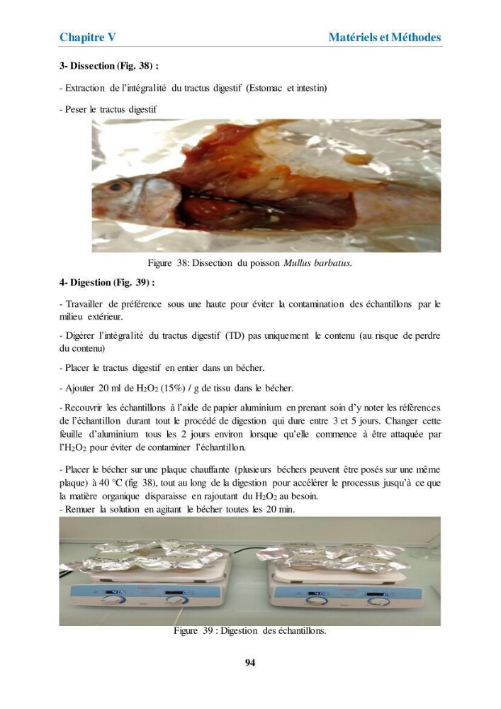 Etude de l\'évaluation quantitative et qualitative des microplastiques sur les côtes algériennes