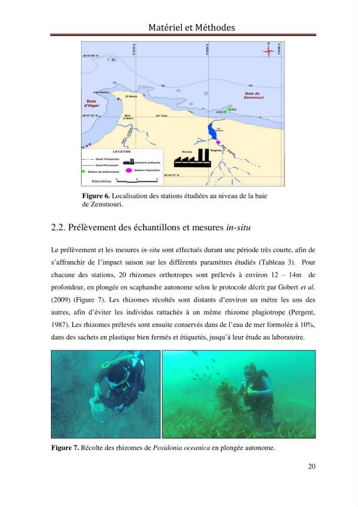 Evaluation de l’état écologique des eaux côtières algéroises par l’utilisation d’un indice algéroises par l’utilisation d’un indice