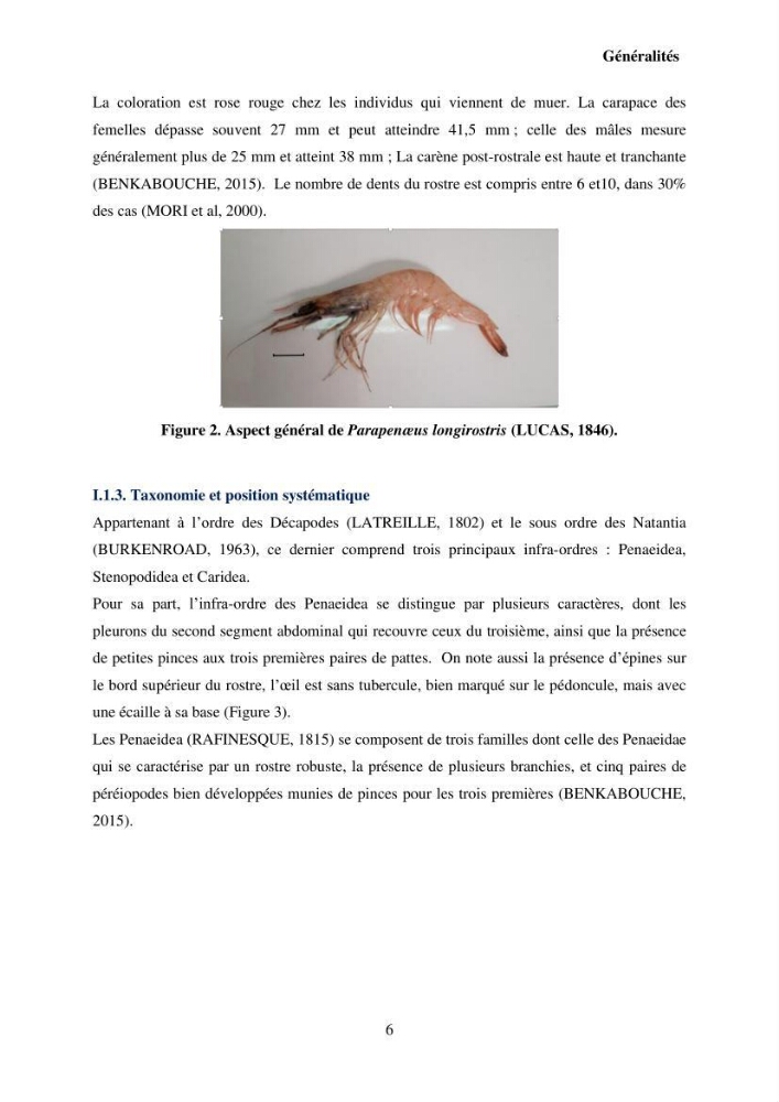 Valorisation Biotechnologique des Coproduits de Crustacés étude du pouvoir antimicrobien du chitosane et traitement d\'une eau contamineé par Legionella Penumophila