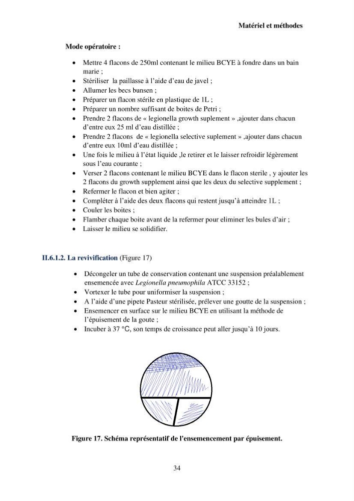 Valorisation Biotechnologique des Coproduits de Crustacés étude du pouvoir antimicrobien du chitosane et traitement d\'une eau contamineé par Legionella Penumophila