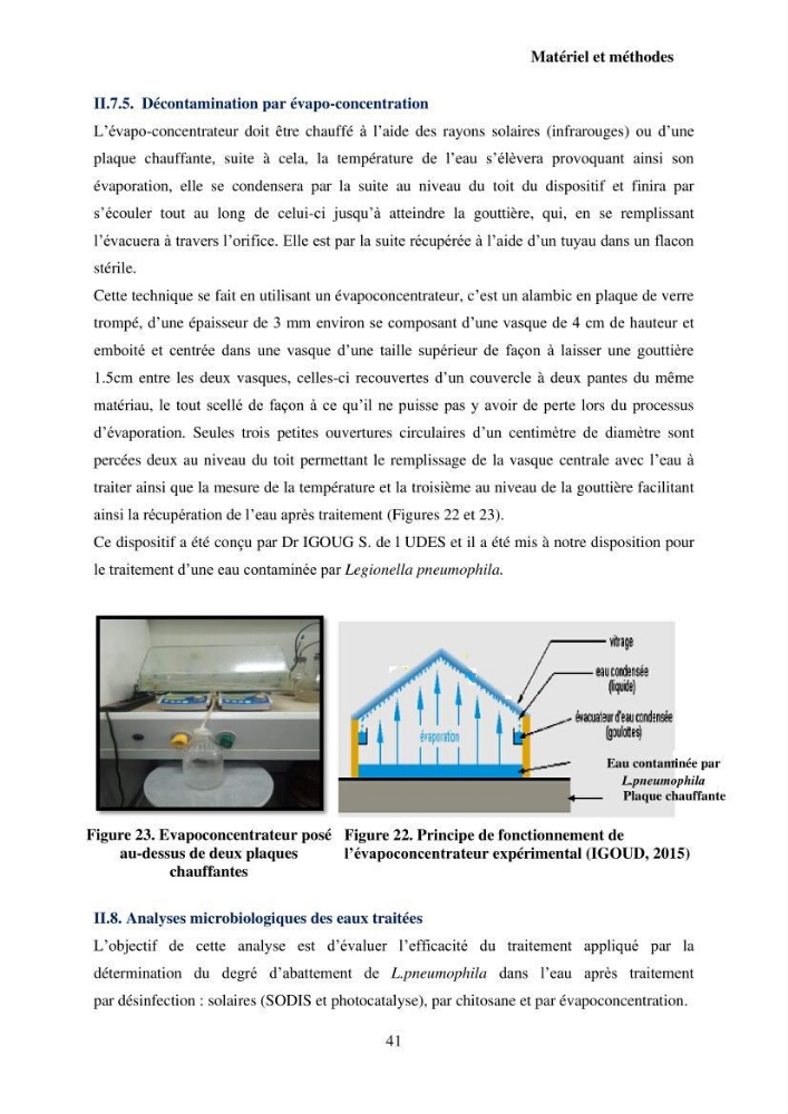 Valorisation Biotechnologique des Coproduits de Crustacés étude du pouvoir antimicrobien du chitosane et traitement d\'une eau contamineé par Legionella Penumophila