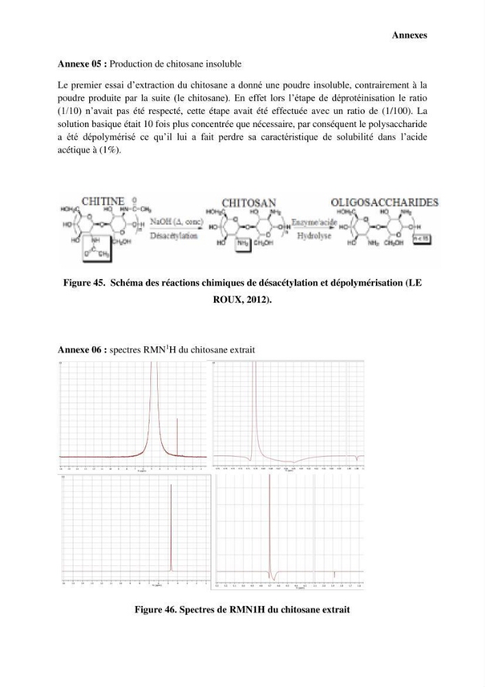 Valorisation Biotechnologique des Coproduits de Crustacés étude du pouvoir antimicrobien du chitosane et traitement d\'une eau contamineé par Legionella Penumophila